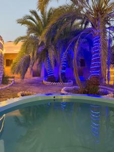a swimming pool in front of a house with palm trees at كامب سيوة اواسيس Siwa Oasis Camp in Siwa