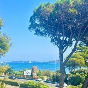 a tree on the side of a road next to the ocean at Villa sur mer, chez Angelina in Grimaud