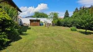 a yard with a shed in the background at Apartmenthaus-Winkler Wiener Neustadt Umgebung 