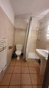 a bathroom with a toilet and a shower and a sink at Nice studio near the ski lift in Briançon