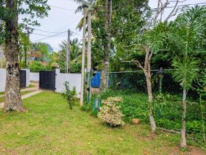 Κήπος έξω από το Canopy villas +5 φωτογραφίες