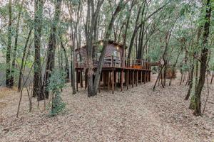 a tree house in the middle of a forest at Luxury Tranquil Treehouse & Hot Tub in Pretoria