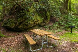 a wooden picnic table and bench in a forest at WiFi & Minimalist - Cozy Creek -Red River Gorge KY in Rogers
