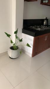 Η κουζίνα ή μικρή κουζίνα στο Villa Ranuka