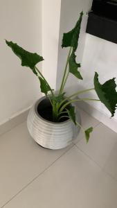 Φωτογραφία από το άλμπουμ του Villa Ranuka σε Unawatuna