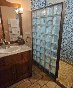 a bathroom with a sink and a shower with glass doors at La Dame Blanche in Bérig-Vintrange +27 photos