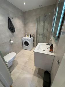 y baño con lavamanos y lavadora. en Lillestrøm , the studio flat, en Kjeller