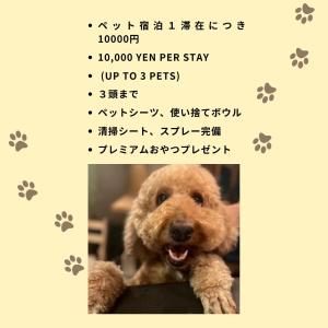 a dog meme with a picture of a dog at 田 Den Kamakura Petと泊まれる ペット滞在費別途 in Kamakura