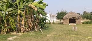 Zahrada ubytování Hotel Gunj The Garden
