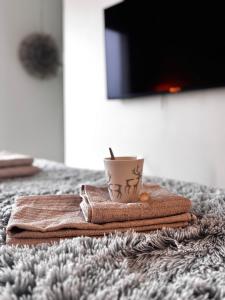 Μια τηλεόραση ή/και κέντρο ψυχαγωγίας στο Nordic City suite