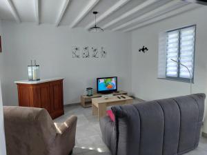 a living room with a couch and a tv at Les jonquilles in Forest-Montiers
