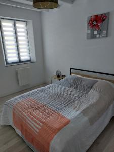 Forest-MontiersにあるLes jonquillesの大きなベッドと窓のある寝室