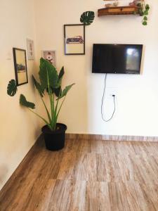 sala de estar con TV y maceta en 2bhk Villa - Calangute, en Candolim