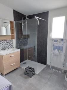 Forest-MontiersにあるLes jonquillesのシャワーと洗面台付きのバスルーム