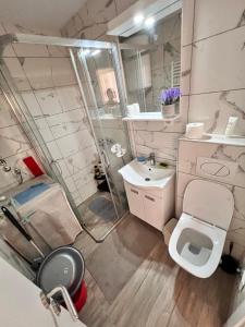 ズラティボールにあるApartman Todorovic Zlatiborのトイレ、洗面台、シャワー付きのバスルーム