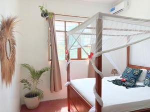 a bedroom with two bunk beds and a plant at Outdoor Cinema Group Friendly Retreat in Pingwe