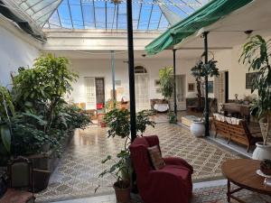 a room filled with lots of potted plants at Rosa 7 in Mercedes