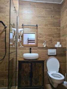 a bathroom with a toilet and a sink and a shower at Hotel Montenegro in Bruntál