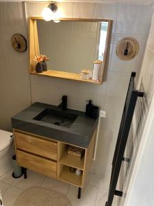 a bathroom with a sink and a mirror at Esprit CAP FERRET in Puget