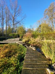 a wooden walkway in a park with a pond at Dôme design by Out & Lodge in Couvin