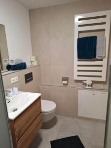 a bathroom with a white toilet and a sink at WG Appartment in Kleinarl +33 photos