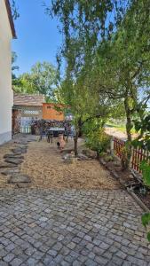 eine Terrasse mit einem Picknicktisch und einem Baum in der Unterkunft Zum alten Rittergut in Malschwitz