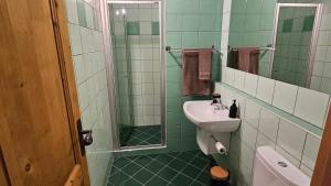 baño verde y blanco con lavabo y ducha en Raduňka - Restaurace, Penzion a Wellness, en Opava