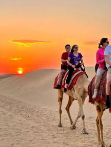 メルズーガにあるInfinity sahara campの砂漠でラクダに乗る人々のグループ +104枚の写真