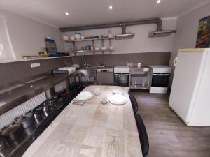 a kitchen with a table with chairs and a refrigerator at Einzelzimmer mit Bad HG 3 in Zwickau