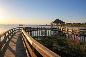 Příroda nedaleko apartmánu + 14 fotografií