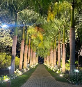 einen Weg, der nachts von Palmen gesäumt ist in der Unterkunft Sharmada Hidden Nest Resort in Jāmb