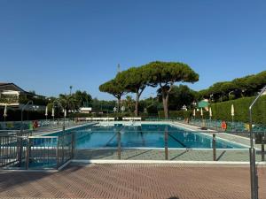 Πισίνα στο ή κοντά στο Happy Camp mobile homes in Camping Riccione