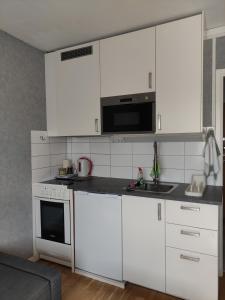 Η κουζίνα ή μικρή κουζίνα στο Cozy 20sqm Studio with Kitchen