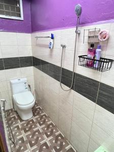 a bathroom with a shower with a toilet in it at Amani guesthouse in Padang Besar