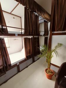 a room with a potted plant in a room at Sankalp Yatri Nivas AC dormitory in Gwalior +9 photos