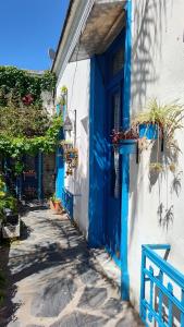 a blue and white building with a blue door at Villa Azul in Buenos Aires +40 photos