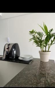 a plant sitting on a counter next to a toaster at Luxo in Caruaru