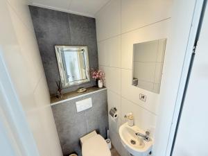 a small bathroom with a toilet and a sink at De Maasterp - Watervillage 21 in Ohé en Laak +7 photos