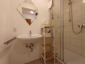 a bathroom with a sink and a shower with a mirror at Hochtenn Lodge in Zell am See - Steinbock Lodges in Zell am See +26 photos