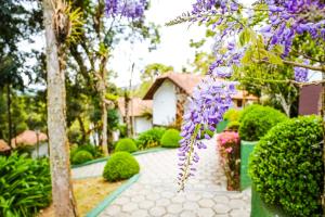 a garden with purple flowers in front of a house at VELINN Pousada Jardim da Mantiqueira in Monte Verde