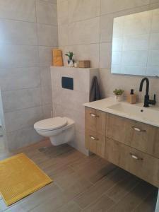 Un baño con inodoro, lavabo y espejo. en Peaceful Stay in the Golan, en Sha'al