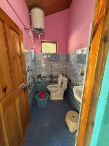 een roze badkamer met een toilet en een wastafel bij Ghumakkad Homestay in Harsil