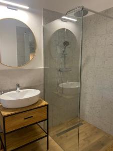 a bathroom with a sink and a glass shower at Riverside Apartment in Makó
