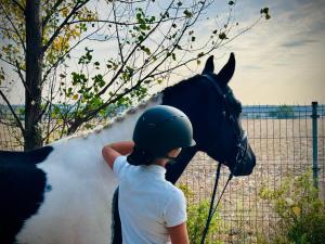 una persona parada junto a un caballo blanco y negro en Equestrian Center Farm House, en Mereni