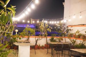 Zahrada ubytování Khangsar Home + 15 fotografií