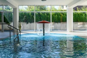 a water fountain in the middle of a swimming pool at Eisvogel Classic 217 in Granzow