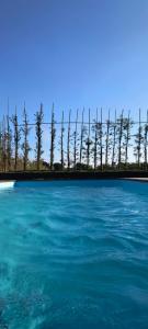 a pool of blue water with trees behind a fence at Casa Container in Santa Rita do Passa Quatro