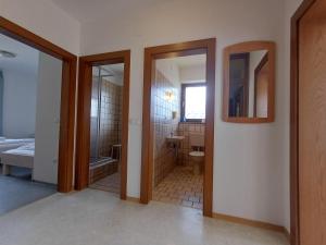 a bathroom with a toilet and a sink and a mirror at Profelt`s Apartments Uttendorf - Steinbock Lodges in Uttendorf