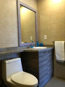 a bathroom with a toilet and a sink and a mirror at Apartamento Finlandia Park Suite in Quito