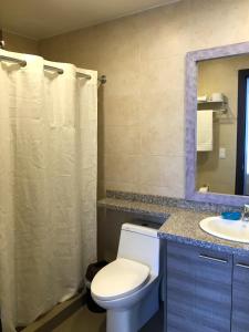 bagno con servizi igienici, lavandino e specchio di Apartamento Finlandia Park Suite a Quito